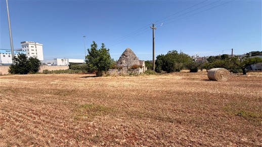 Caratteristico Trullo Con Terreno Di 3.000 mq. Circa.